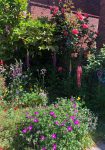 Our front garden