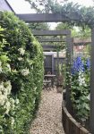 A lovely Pergola through to a quite seat.