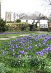 Jubilee Gardens