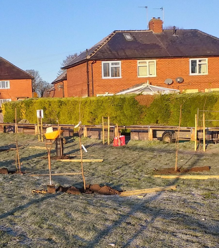 Planting for the future